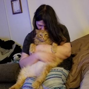 Meet your Posher, Susan